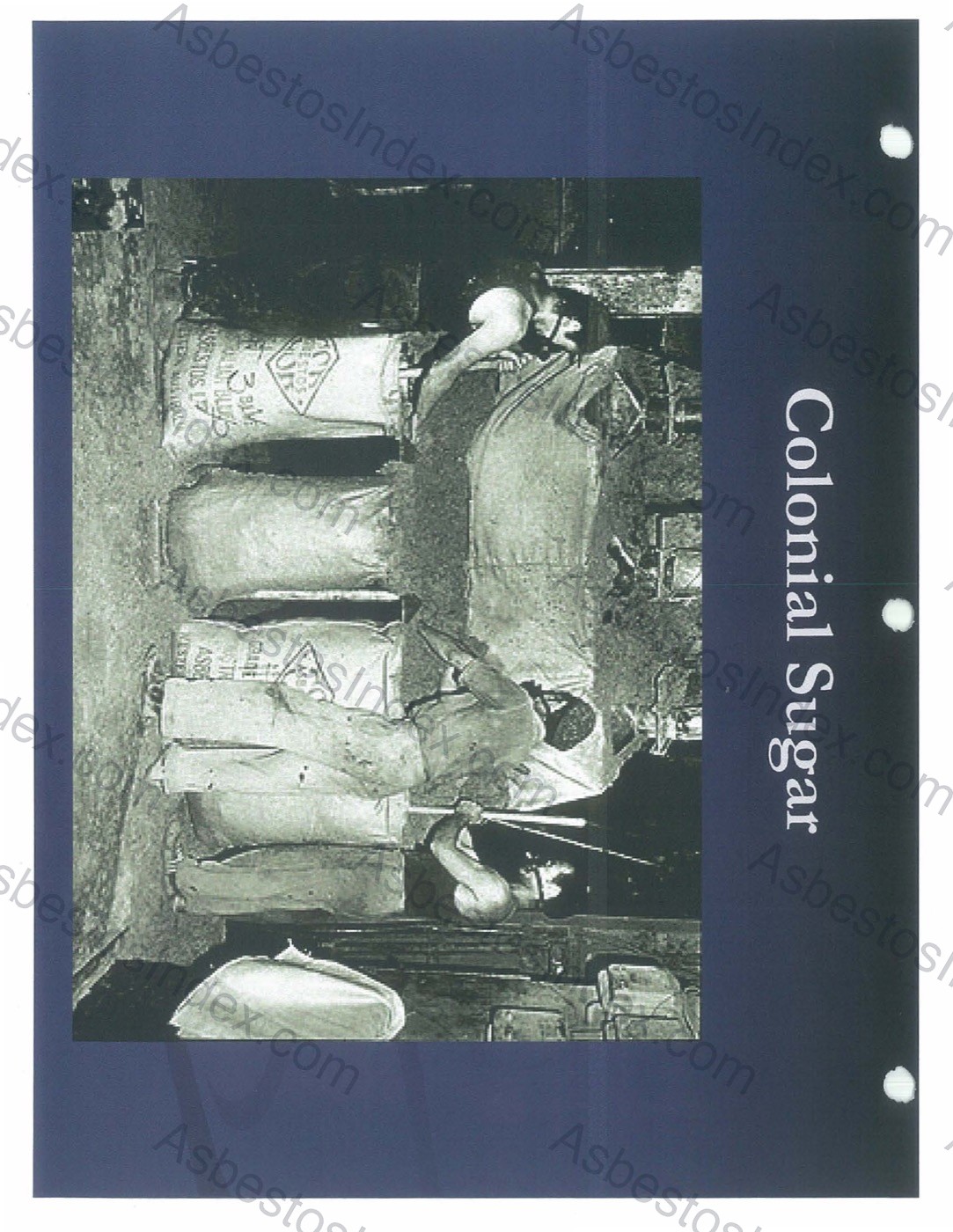 Raw asbestos fiber